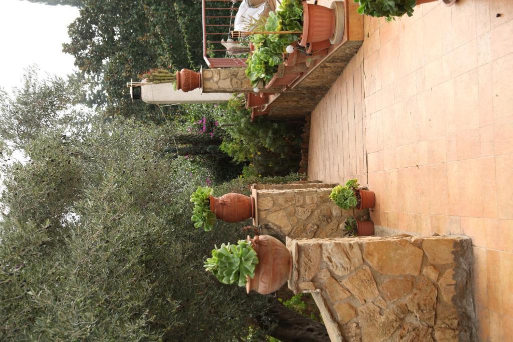 B&B Villa Casablanca เอนนา ภายนอก รูปภาพ